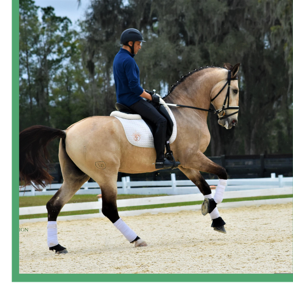 Riding Styles 3.png