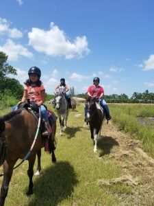 riding horses in a pasture