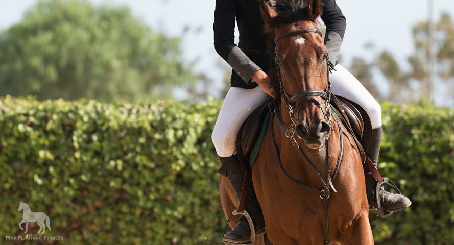 Hero - Proper Riding Techniques.jpg