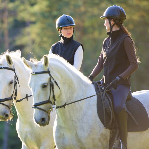 Friends talking while riding horses