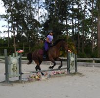 girl taking horseback riding lessons