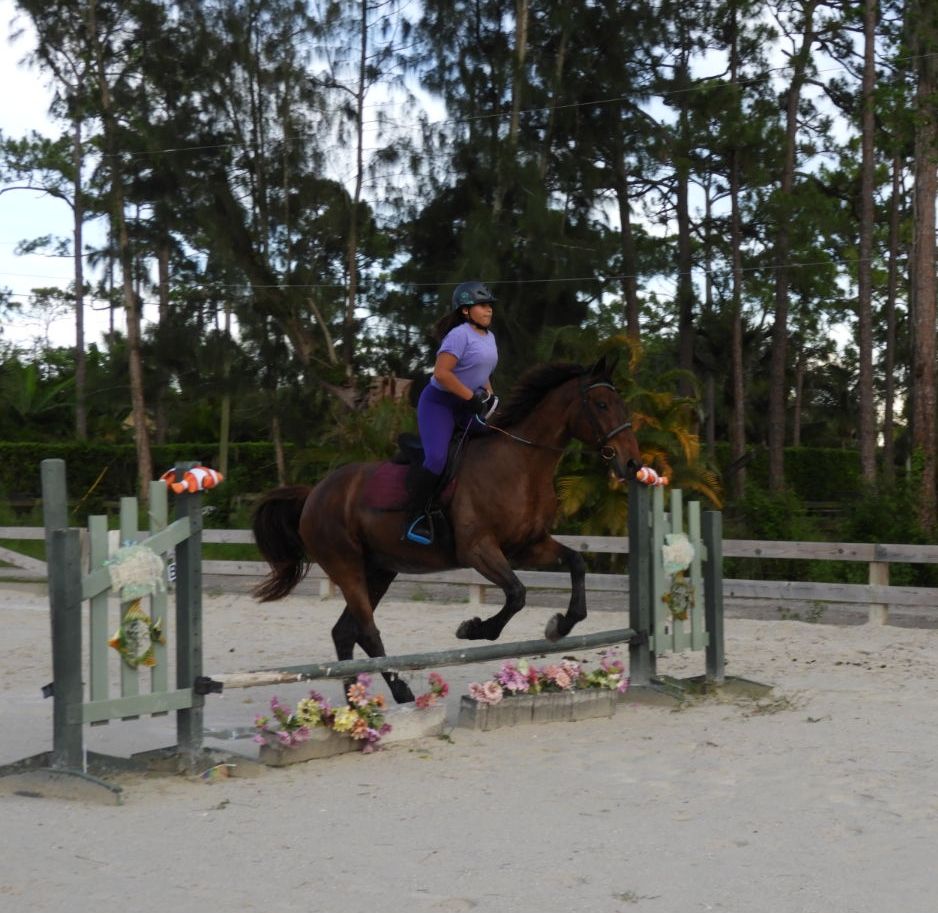 girl taking horseback riding lessons girl taking horseback riding lessons
