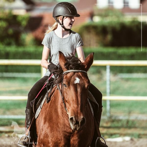 IMG 1 - Proper Riding Techniques.jpg