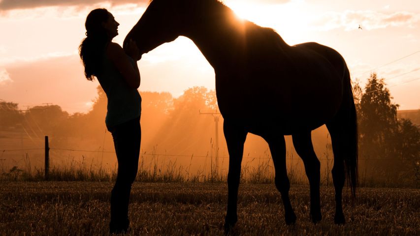 woman and horse