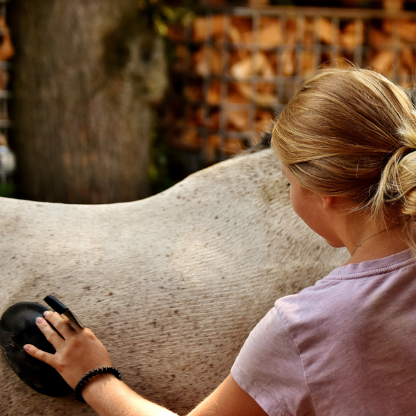 Private Horseback Riding Lessons_ Why One-on-One Instruction Works Best 4.png