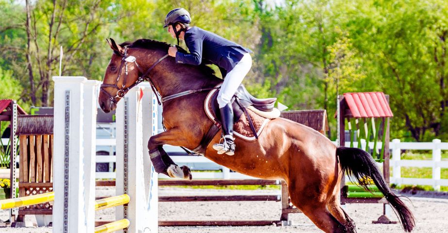 The Difference Between an Eastern and a Western Saddle header.jpg