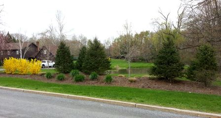 bl25-170131-5891039a5925d.jpg
