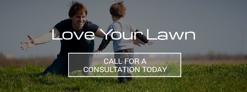 love your lawn call for a consultation today