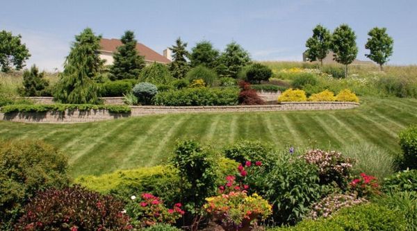 Landscape Design 3.jpg