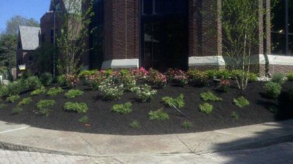 bl19-170131-589103852566e.jpg