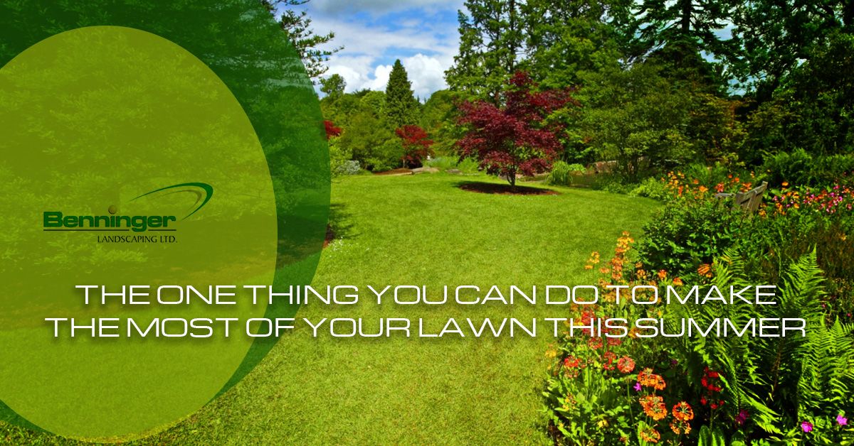 The-One-Thing-You-Can-Do-To-Make-The-Most-Of-Your-Lawn-This-Summer-59248cb66df25.jpg