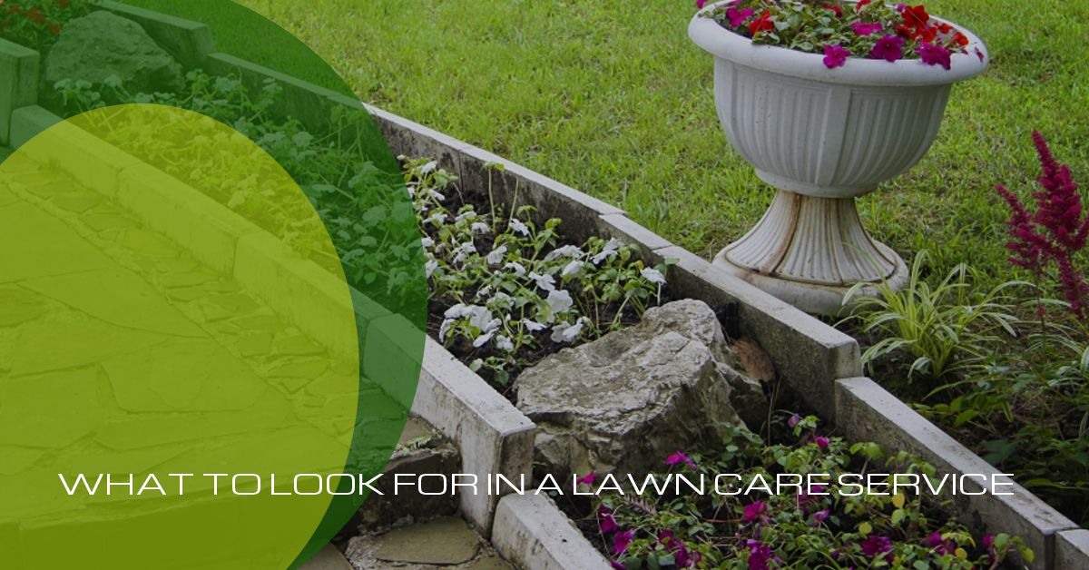 lawn-care-service-58d0418b2455b.jpg