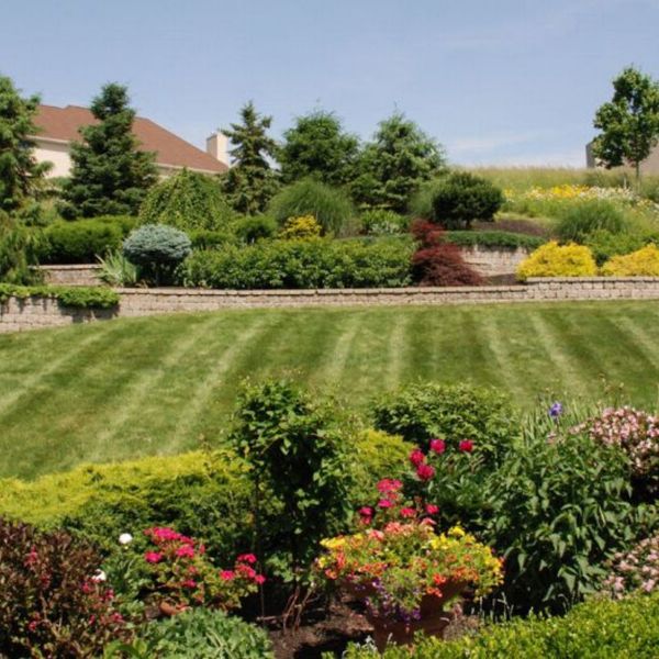 beautiful backyard landscaping