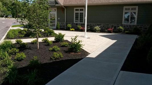 bl05-170131-5891034289481.jpg