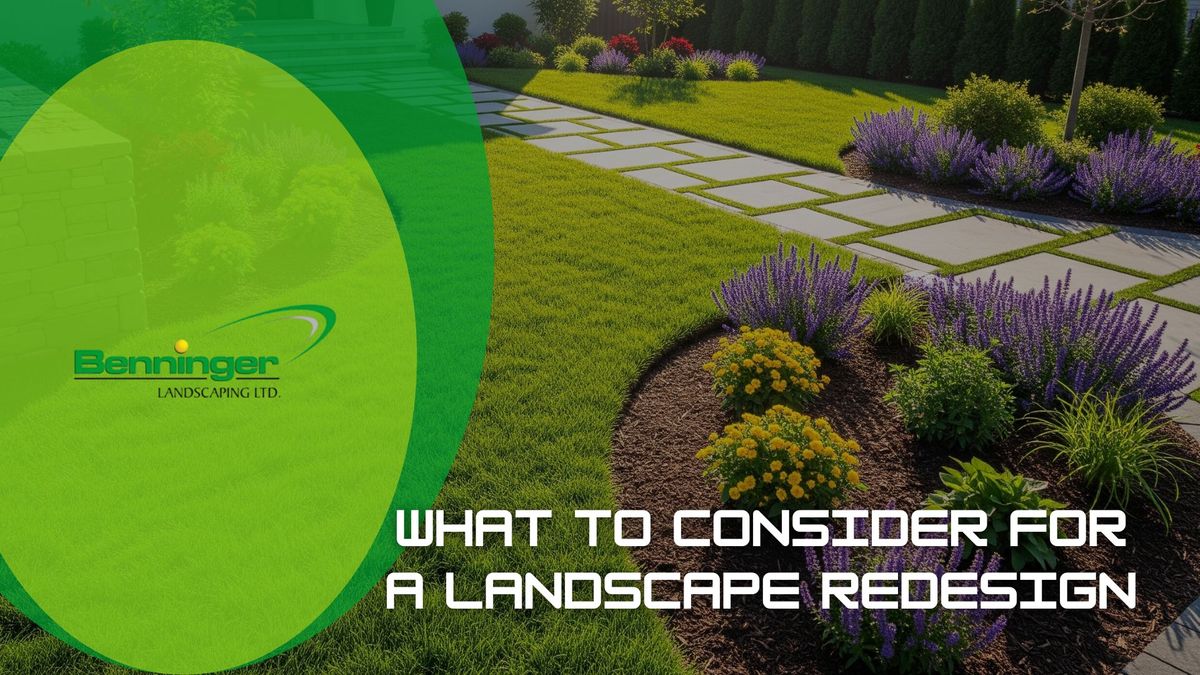 What To Consider For A Landscape Redesign.jpg