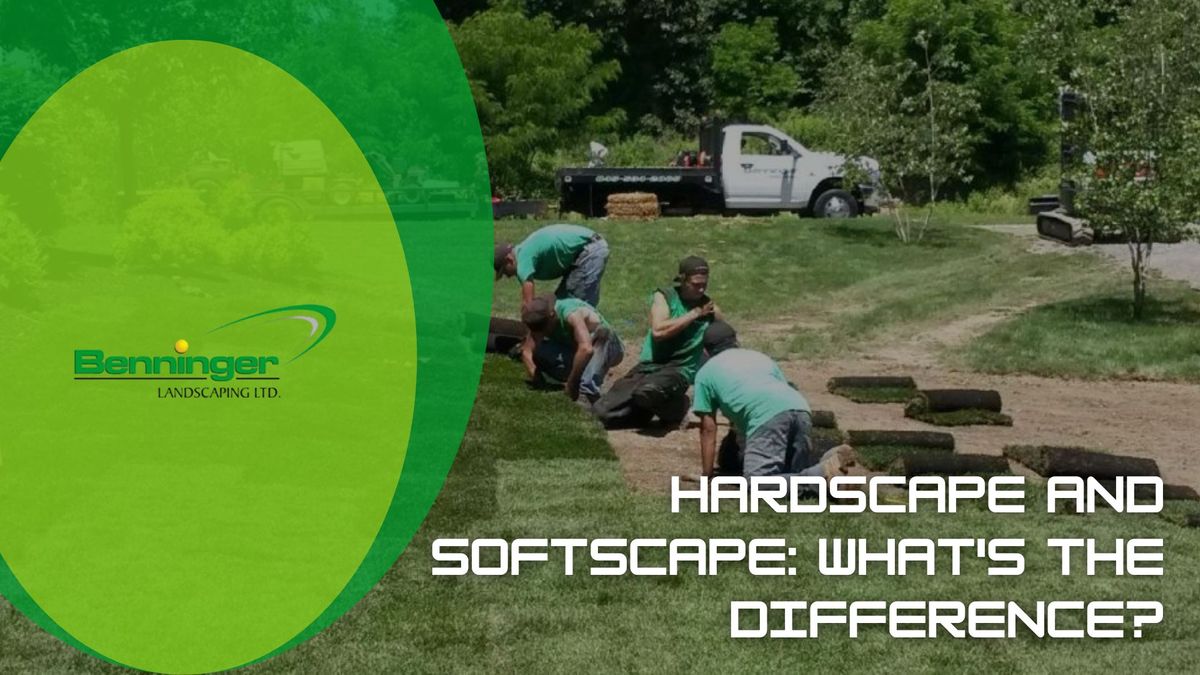 Hardscape and Softscape What's the Difference.jpg