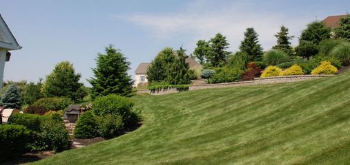 bl10-170131-5890ffb0e6620.jpg