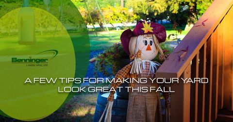 A-Few-Tips-For-Making-Tour-Yard-Look-Great-This-Far-59d6877f7bf88.jpg