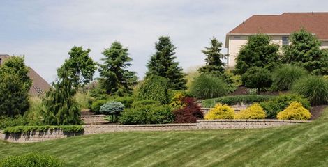 bl14-170131-5891036d992d5.jpg