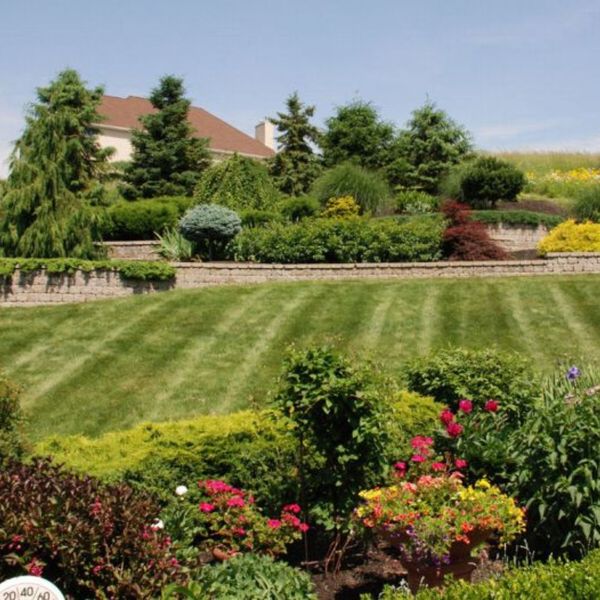 landscape design