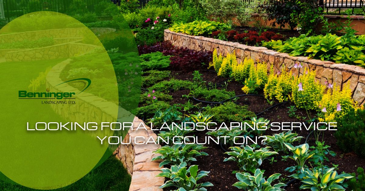Looking-for-a-Landscaping-Service-You-Can-Count-On-59248dfa4ba97 (1).jpg