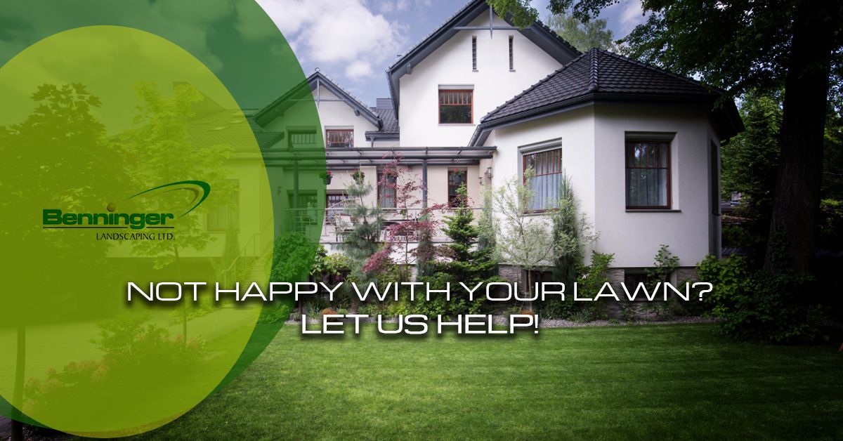 Not-Happy-With-Your-Lawn-59af100434073.jpg