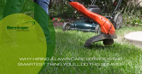 smartest-thing-summer-58fa289e9eced.jpg