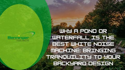 Ponds and Waterfalls.jpg