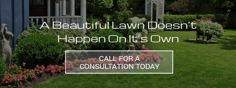 A beautiful lawn doesn't happen on its own - call for a consultation today