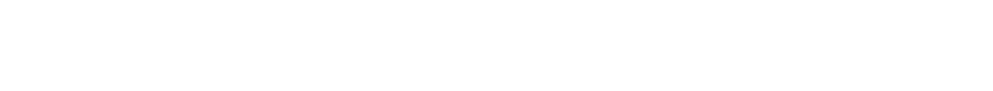 Swiggle border 2.png