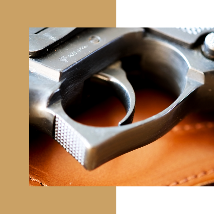 CoEd NRA Basic Pistol Certification Course Firearms Safety Split