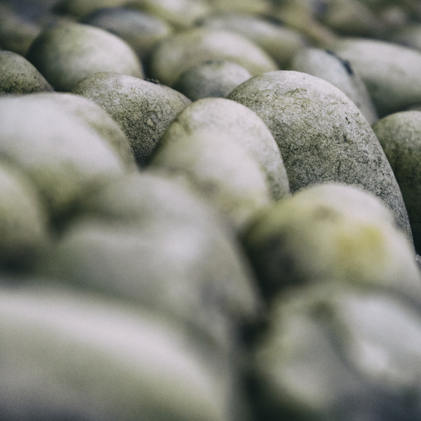 RiverRockLowMaintenance-image4.png
