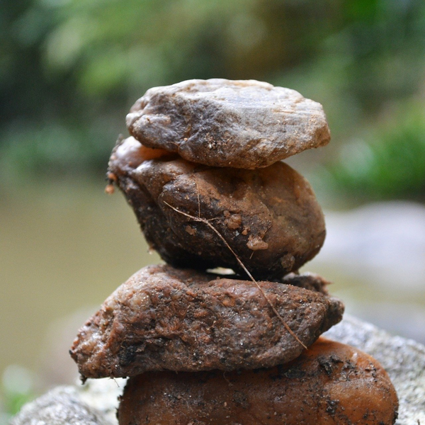 RiverRockLowMaintenance-image1.png