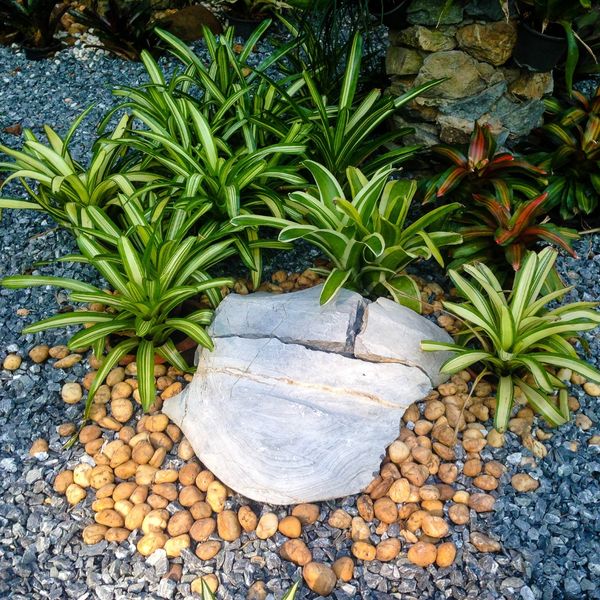 image of river rock landscaping