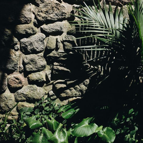 beautiful rock space in garden
