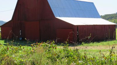 barn with natural landscape in ozarks