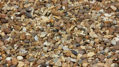 pea gravel for landscaping