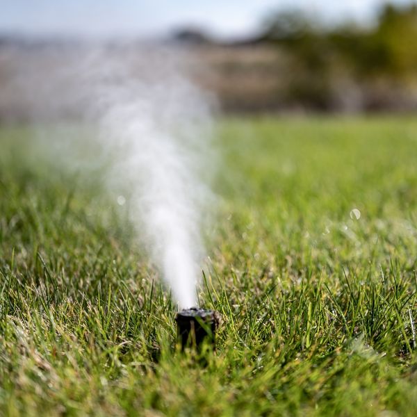 sprinkler blow out