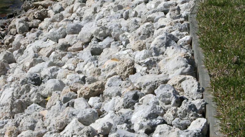 Creek bed. Creek bed.