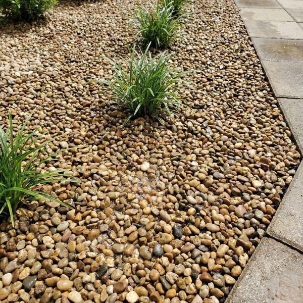Garden bed with pea gravel and ornamental grass next to a paver walkway, showing how small landscape rock provides surface drainage.