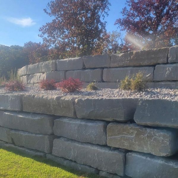 Xeriscaping with Style 2.jpg