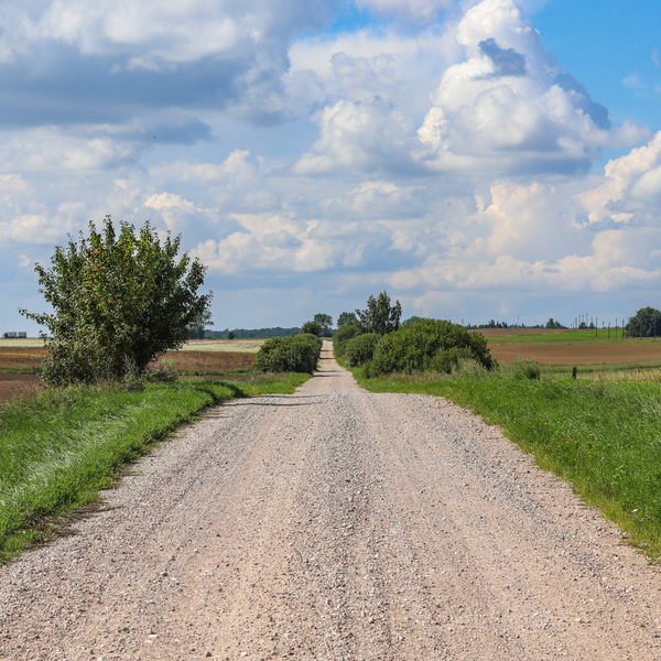 EnvironmentalBenefitsofLandscapeGravel-image4.png