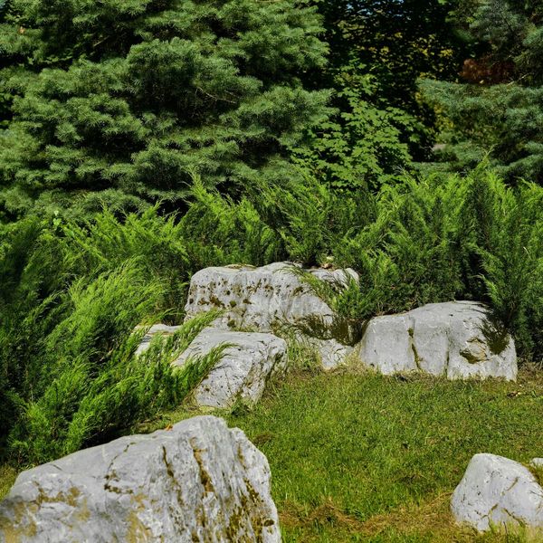 natural rock in landscaping natural rock in landscaping