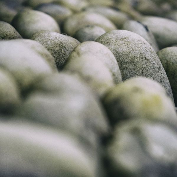 up close view of river rock