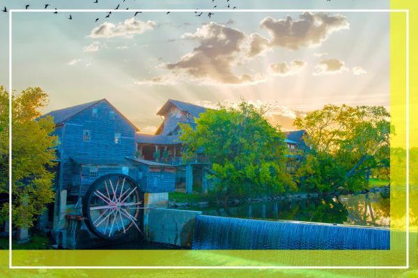 Areas We Serve (3).jpg