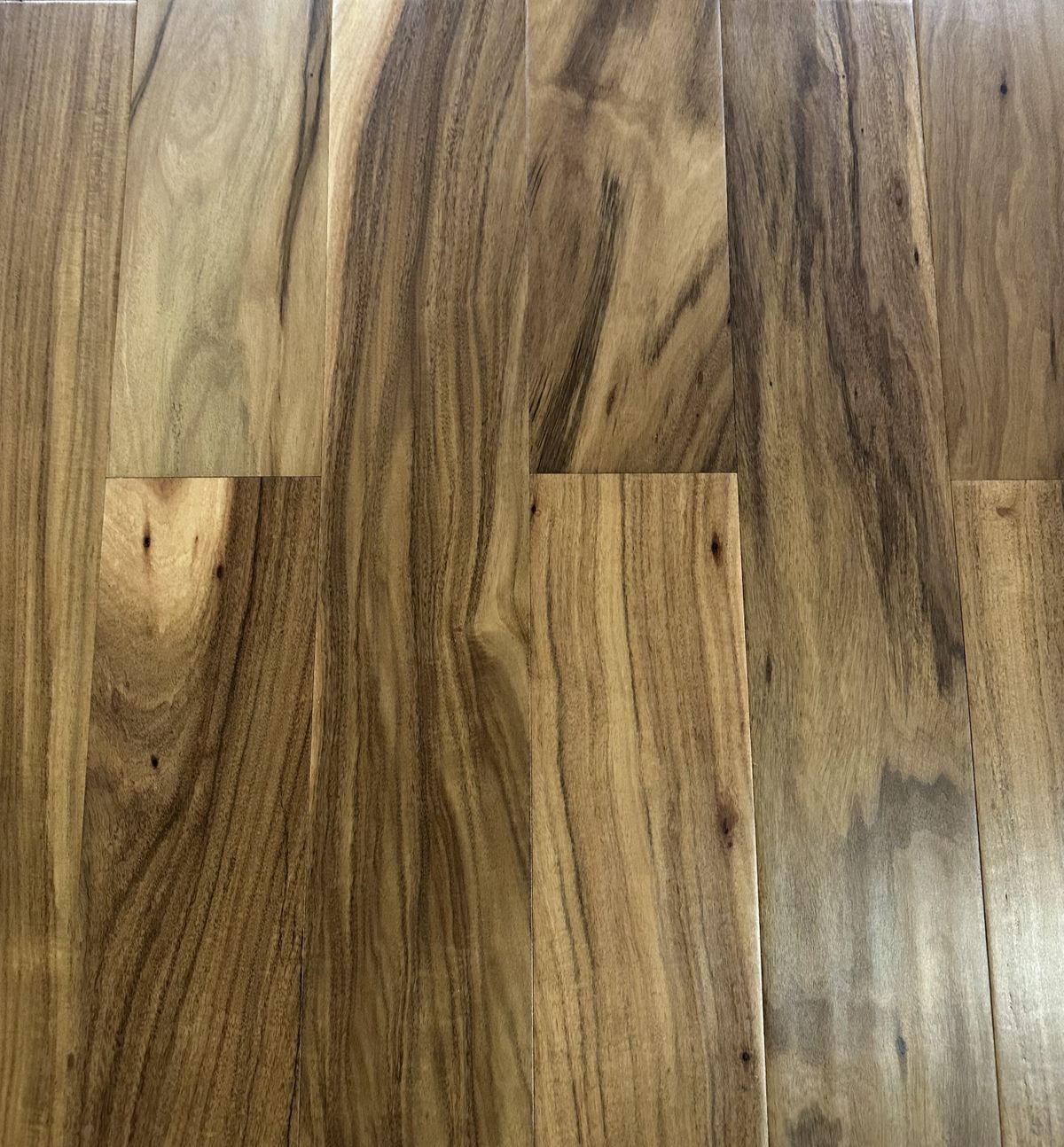 Long Leaf Acacia Cover.jpg