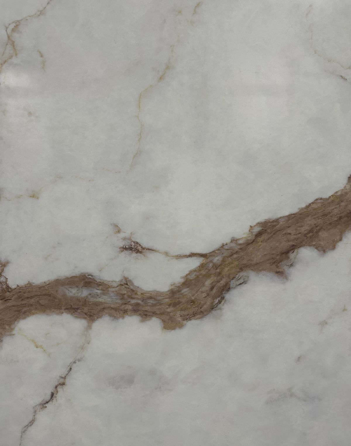 Calacatta Perla Cover.jpg