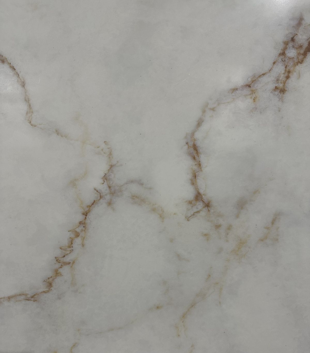 Calacatta Perla 4.jpg