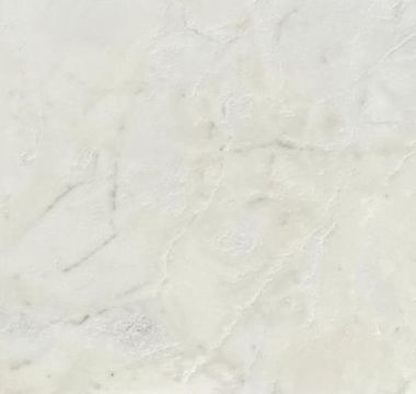 White Rhino Cover 2.jpg