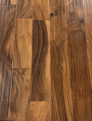 Short Leaf Acacia Cover.jpg